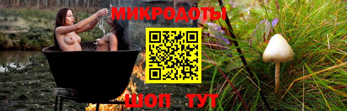 Псилоцибиновые грибы мухоморы Екатеринбург